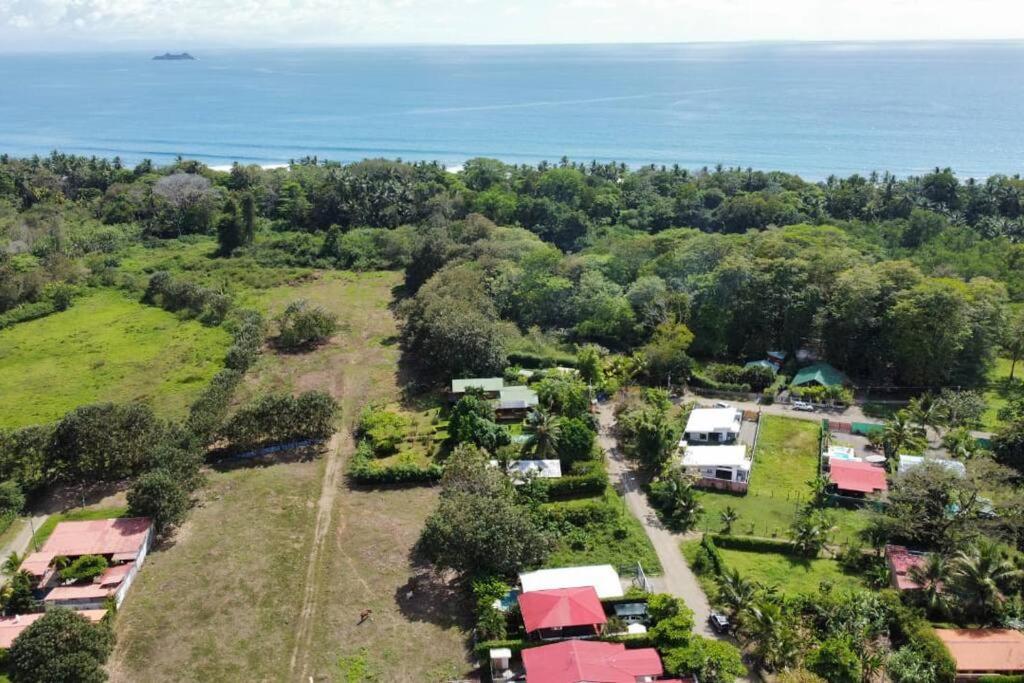 Casa Toucan Mit Privat Pool Near Np Ballena Uvita Exteriér fotografie