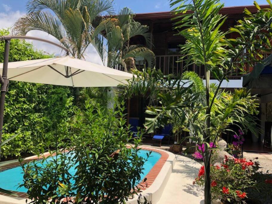 Casa Toucan Mit Privat Pool Near Np Ballena Uvita Exteriér fotografie