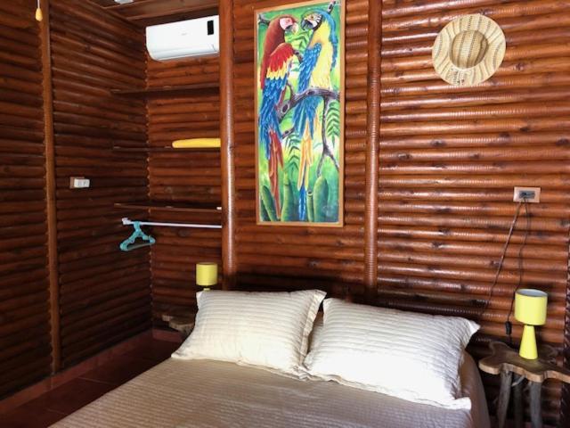 Casa Toucan Mit Privat Pool Near Np Ballena Uvita Exteriér fotografie