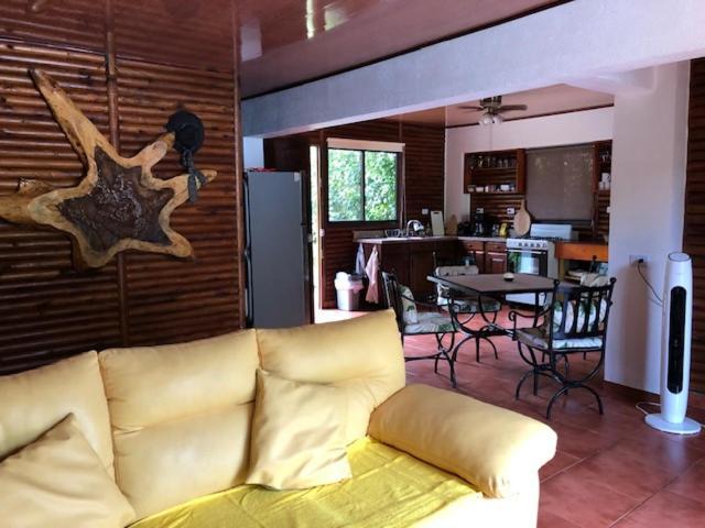 Casa Toucan Mit Privat Pool Near Np Ballena Uvita Exteriér fotografie