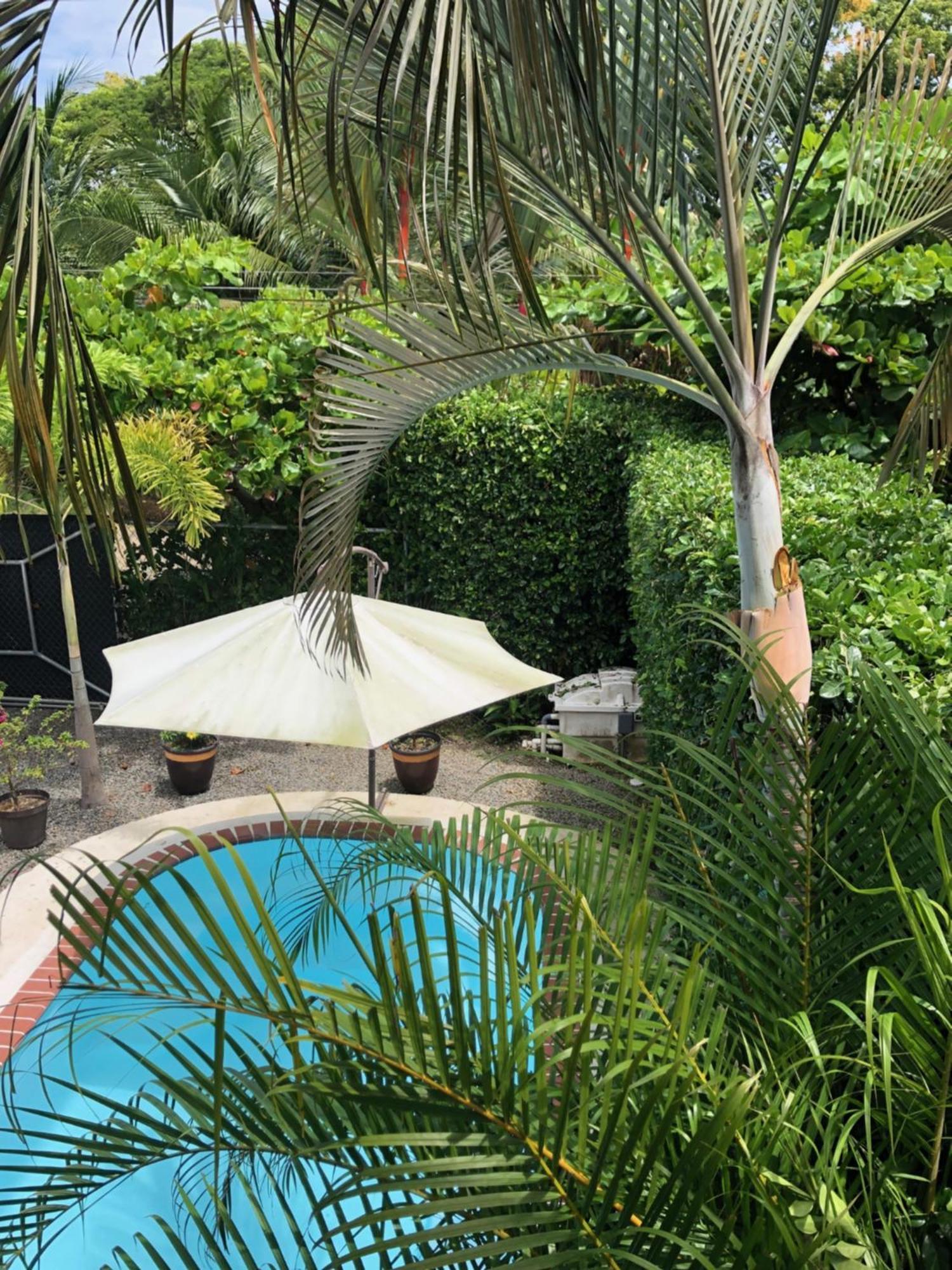 Casa Toucan Mit Privat Pool Near Np Ballena Uvita Exteriér fotografie